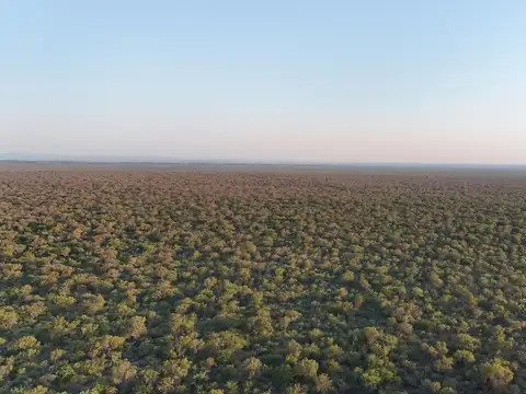Campo GANADERO APICOLA  Tulumba CORDOBA