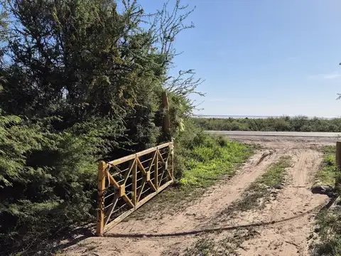 Campo GANADERO APICOLA  Tulumba CORDOBA
