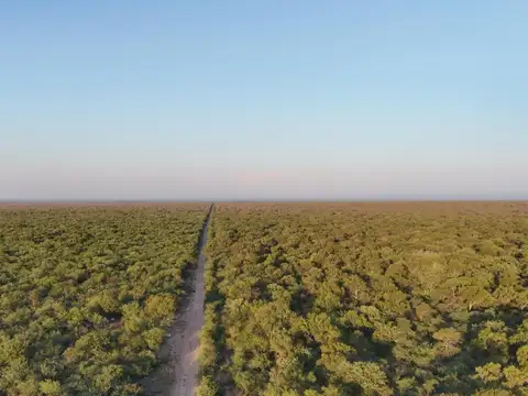 Tulumba ruta  65