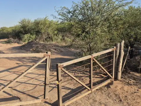 Tulumba ruta  65