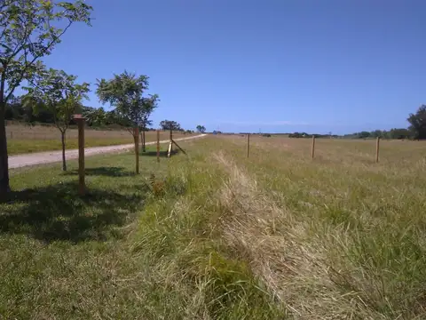 Terreno en Venta de 601,0 m2