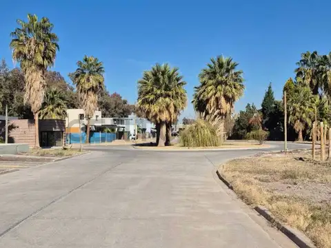 Terreno en Venta de 310,0 m2