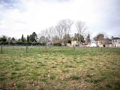 Centenara 2200