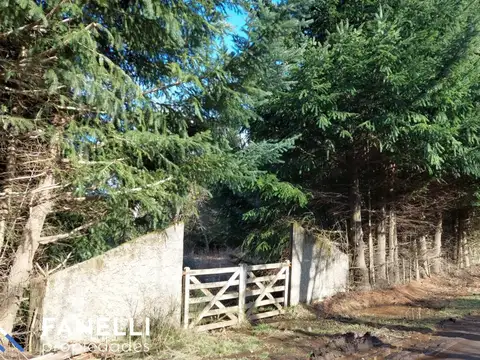 Terreno en Venta en Las Balsas, USD 60.000