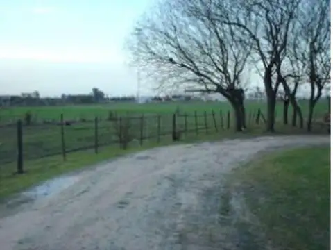 Campo en Venta de 43  ha