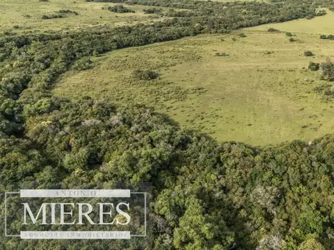 Quinta en Venta en Aigua, USD 170.000