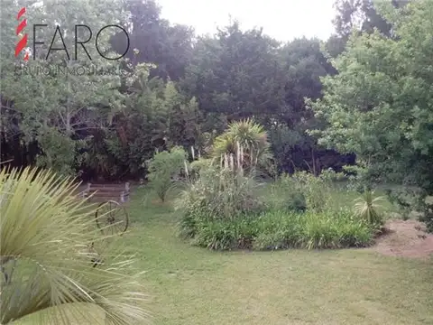 Campo en Alquiler Chacra