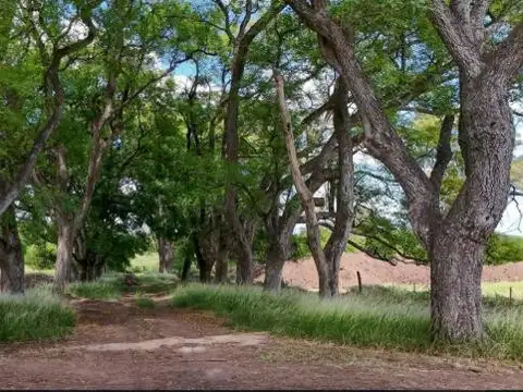 Lote  en Estancia Carabassa, Pilar