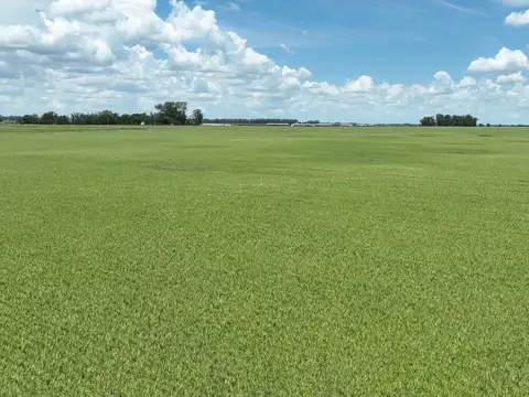 Campo en Venta de 1.038  ha