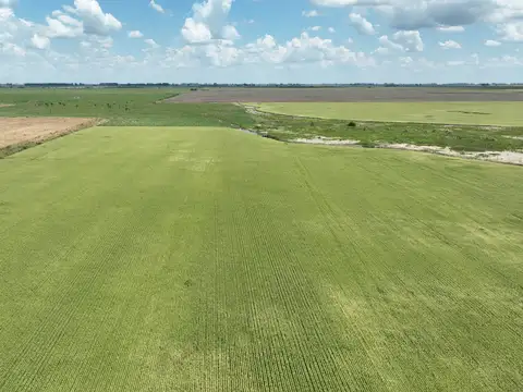 Campo Mixto sobre Ruta