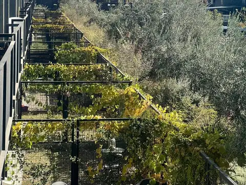 Departamento en Alquiler 5 años