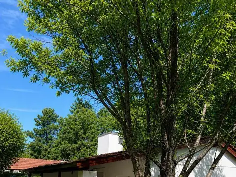 Casa Quinta Barrio  Parque Sakura