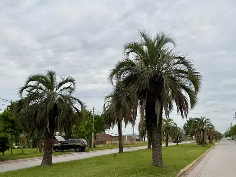 Terreno en Tierra de Sueños 3