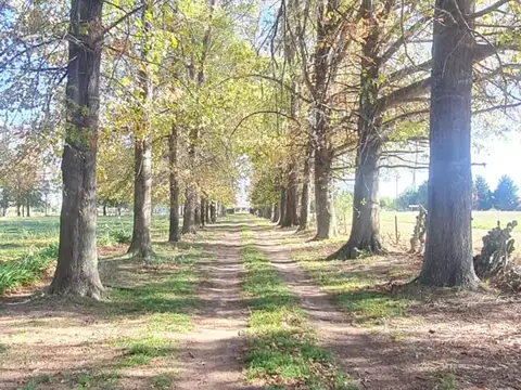 VENTA CHACRA EN PILAR. 2 HECTAREAS CON CASA