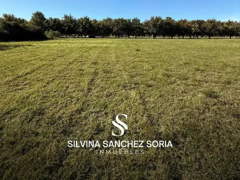 CHACRA EN VENTA, BARRIO CERRADO LA MACARENA, CAPILLA DEL SEÑOR