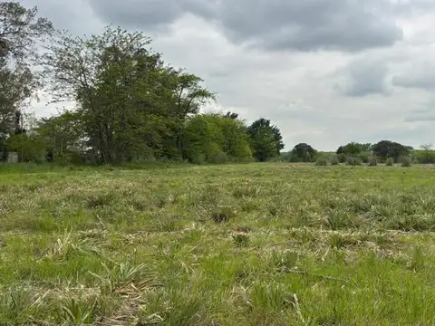 excelente fraccion en venta  de 5 ha en Manzanares