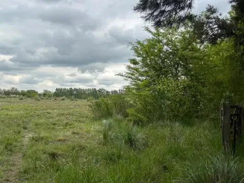 excelente fraccion en venta  de 5 ha en Manzanares