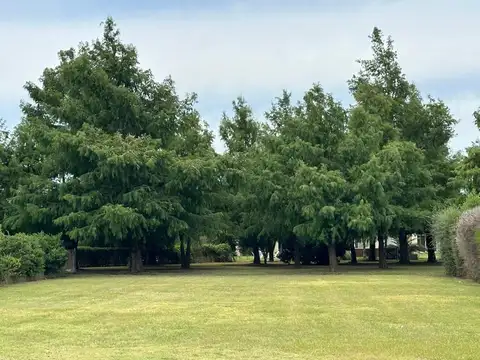 Terreno - Venta - Argentina, Rosario - AV. ARTURO ILLIA 1500