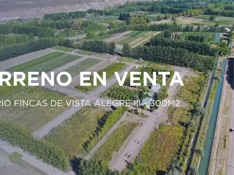 TERRENO EN VENTA FINCAS DE VISTA ALEGRE III