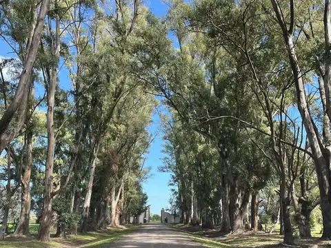 Chacras de San Andrés
