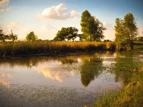 Terreno en Venta de 2000,0 m2