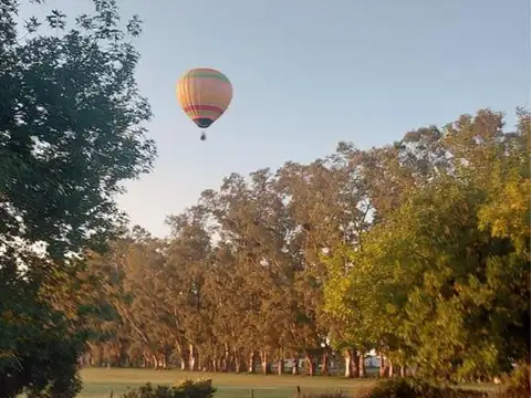 Terreno en Venta 50  mts Frente