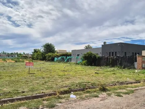VENTA LOTE EN MANZANAR GINES, CIPOLLETTI, RIO NEGRO
