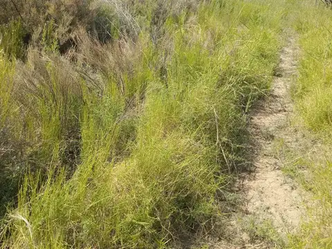 Terreno en Venta en El Pastal, USD 30.000