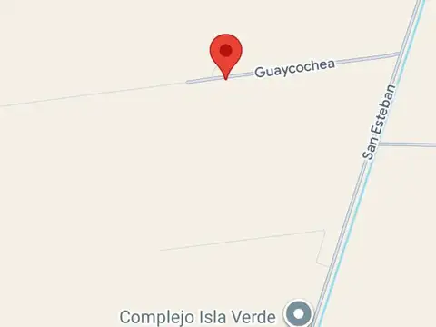 guaycochea s/n