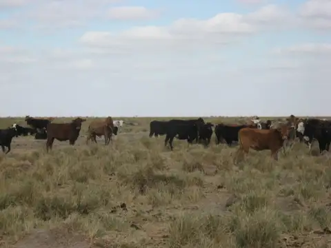 Santa Fe