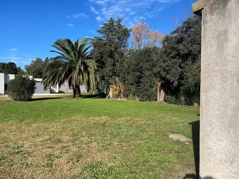 CASA A REFACCIONAR - AMPLIO LOTE - FORESTACIÓN - LOBOS