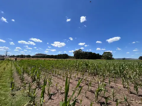 Ruta 226