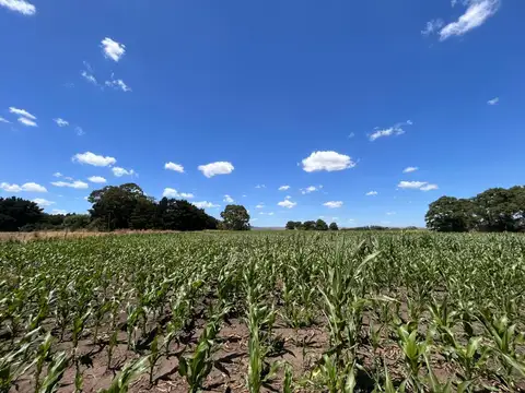 Campo en Balcarce