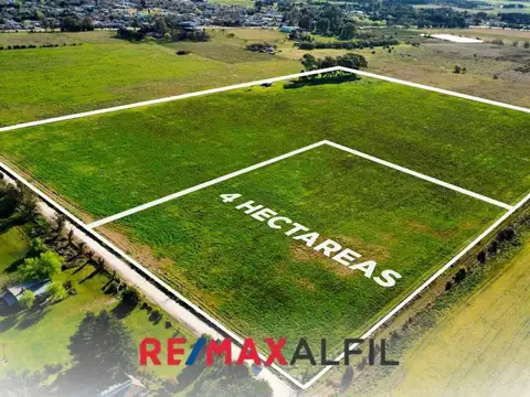 Campo en venta Bavio 4 Hectáreas