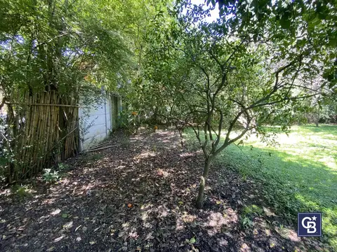Terreno en Venta 39  mts Fondo