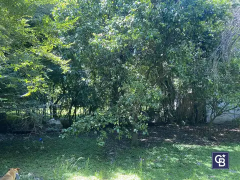 Terreno en Venta 10  mts Frente