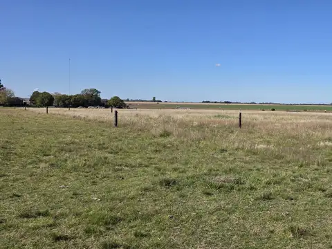 Campo en Venta de 4  ha