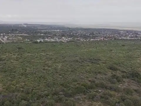 4.18 Hectáreas en Villa Larca SL