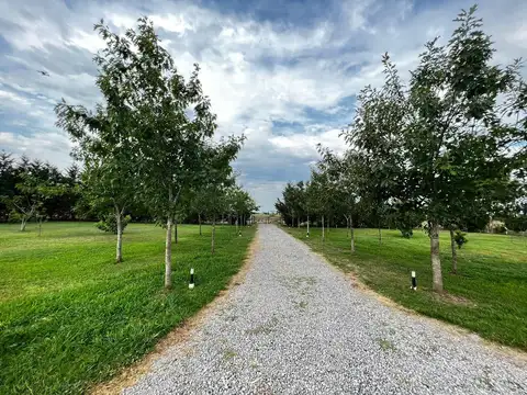 Chacra en venta en San Andrés de Giles excelente casco 4 Has.