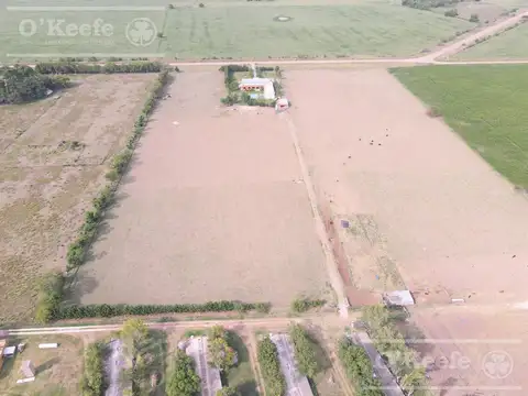 Chacra en venta 4 has San Andres de Giles excelente casco