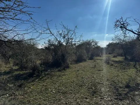 Ruta 126
