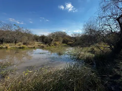 Campo en Venta de 48  ha