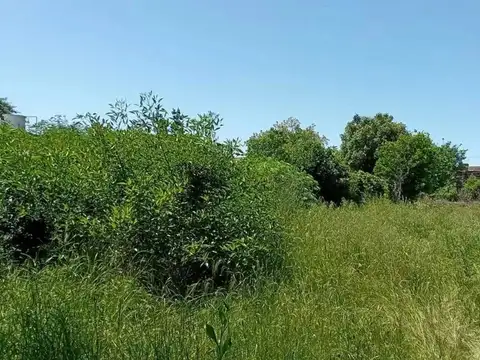 Lote Terreno Boulogne