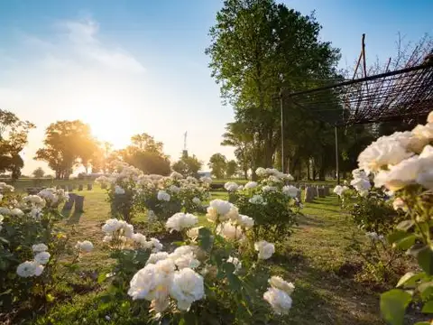 Terreno en Venta de 1000,0 m2