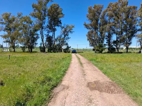LOTE VENTA CAÑUELAS FRENTE A RUTA 205