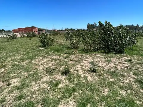 Terreno en Venta de 400,0 m2