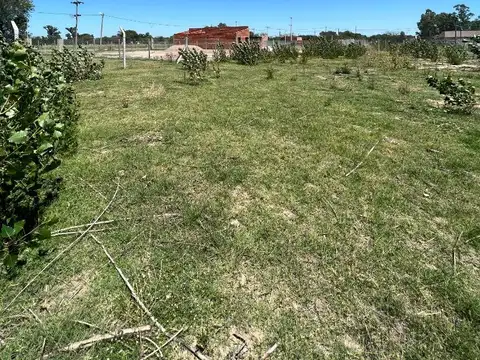 ¡Últimos Lotes en Chivilcoy: Barrio en Pleno Crecimiento!