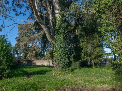 Terreno en Venta 12  mts Frente