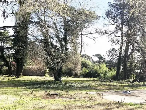 Terreno en Venta en Roosvelt, USD 5.000.000