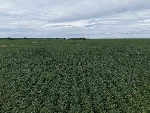 Guardia Escolta, Departamento Belgrano